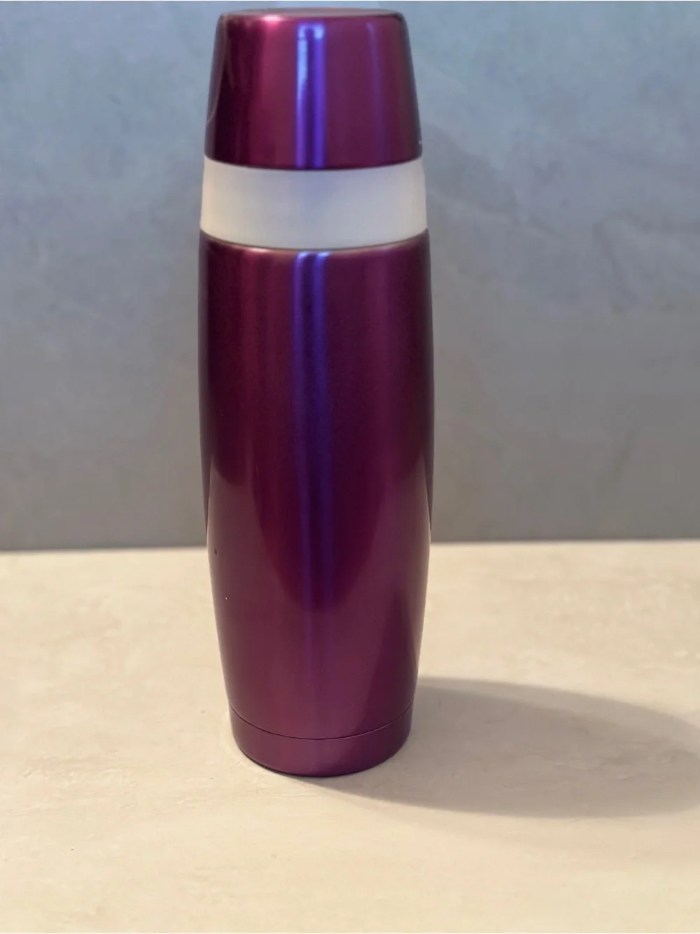 Starbucks 2006 Stainless Purple Bullet 16 oz Thermos EUC